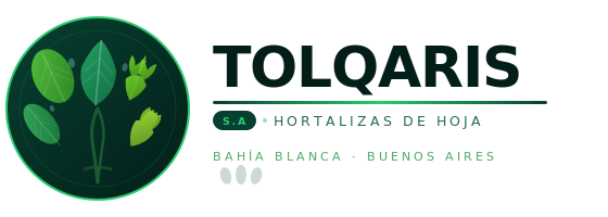 TOLQARIS S.A